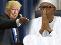 I’m Not lifeless Buhari Replies President Trump Following his Remarks
